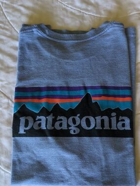 Patagonia Heather Gray Tee with Teal, Purple and Orange Stripes